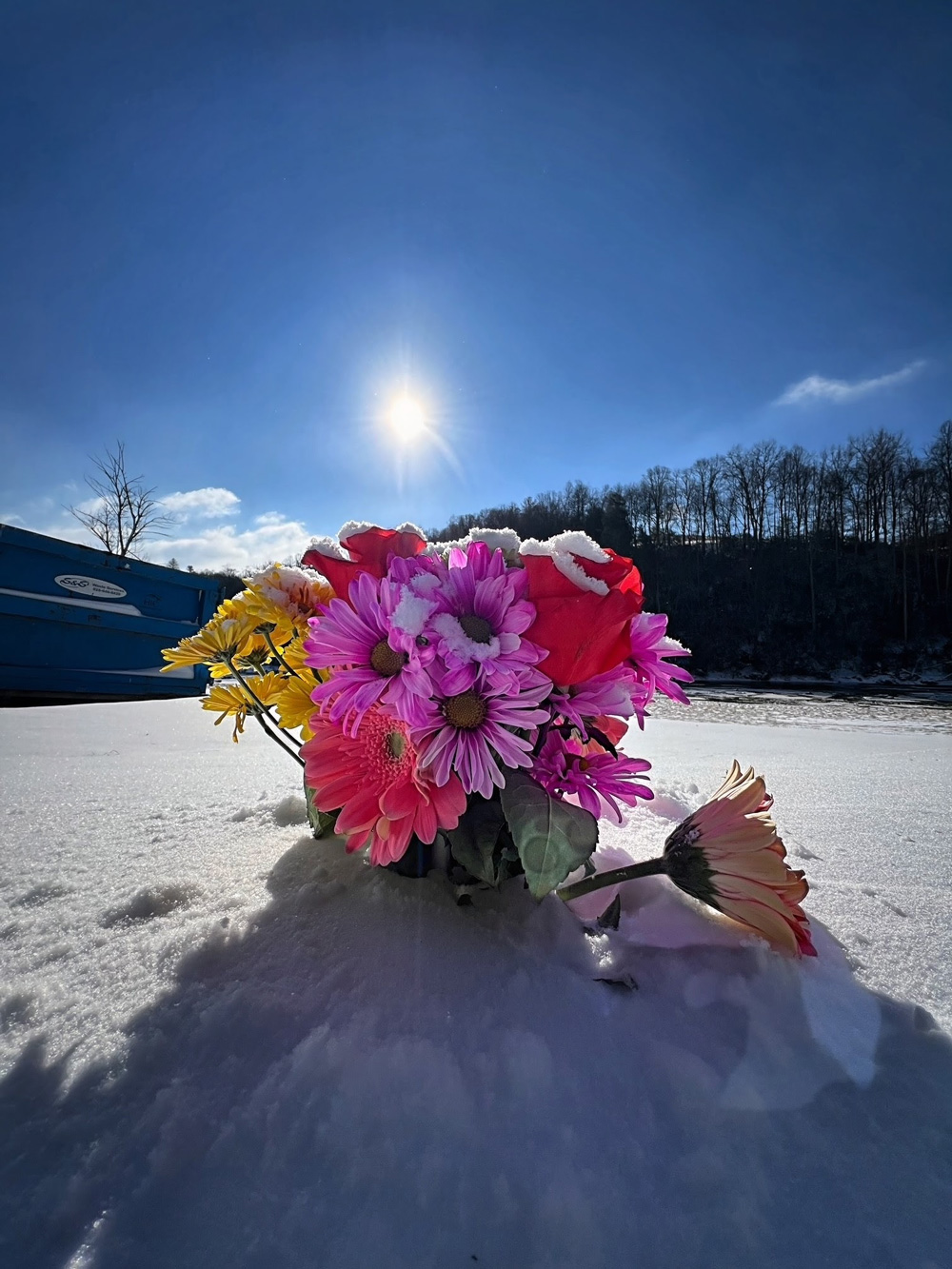 Panther Creek - Flowers on ice